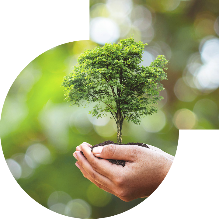 关怀人类、文化、环境与社会